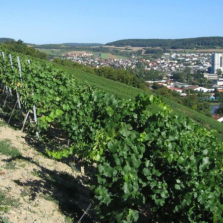 Weinstube Schwalbennest Hotel Карлщат Екстериор снимка