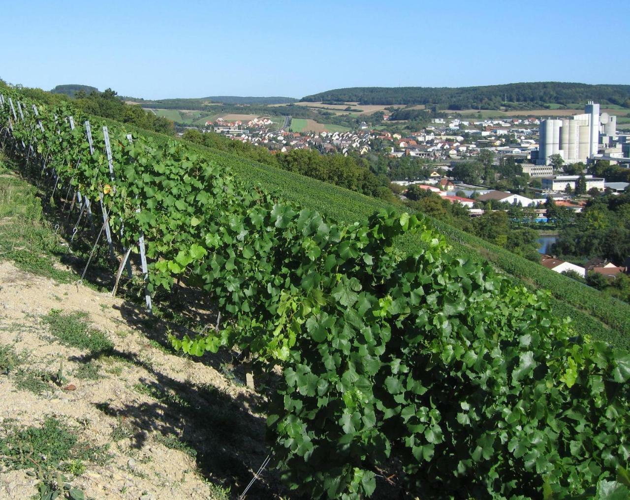Weinstube Schwalbennest Hotel Карлщат Екстериор снимка