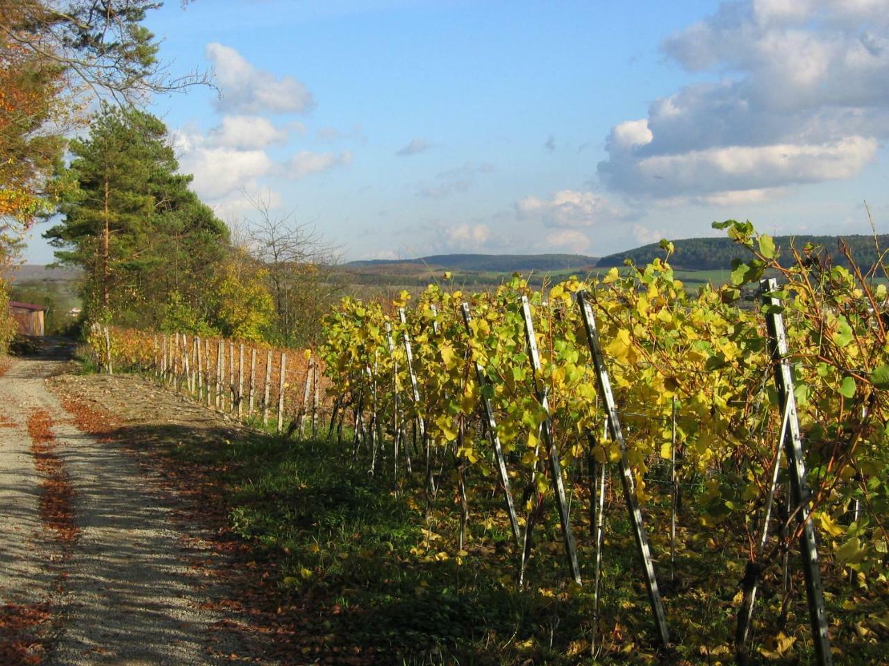Weinstube Schwalbennest Hotel Карлщат Екстериор снимка